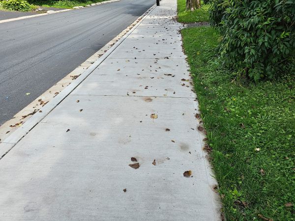 Cost of Sidewalk Renovation in Peyton