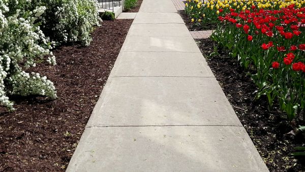 Cost of Sidewalk Slab Replacement in Peyton