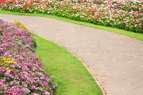 Cost of Concrete Walkway Service in Peyton